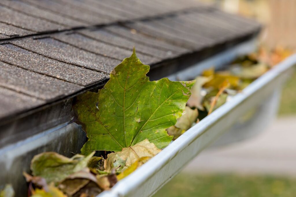 Gutter Maintenance Gutter Full With Leaves