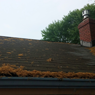 Best Roofing Materials For High-Pollen Areas